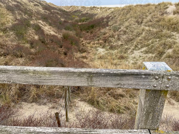 View over sandy dune landscape with dry grass and a wooden fence, DeHaan, Flanders, Belgium, Europe