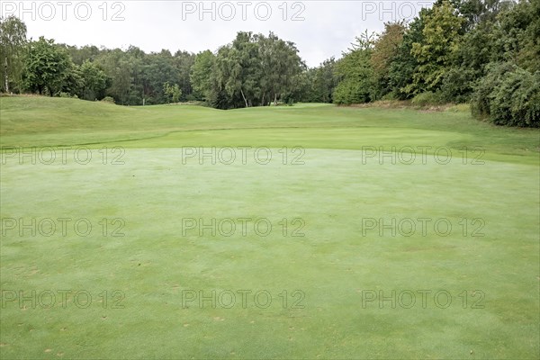 A wide view of a quiet golf course with lush green lawns and trees