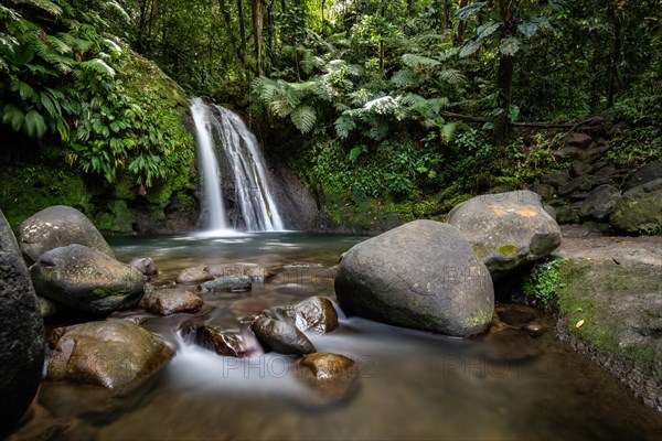 Pure nature, a waterfall with a pool in the forest. The Ecrevisses waterfalls, Cascade aux ecrevisses on Guadeloupe, in the Caribbean. French Antilles, France, Europe