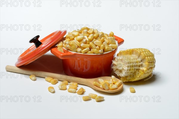 Fresh maize kernels in pots and cobs, corn (Zea mays)