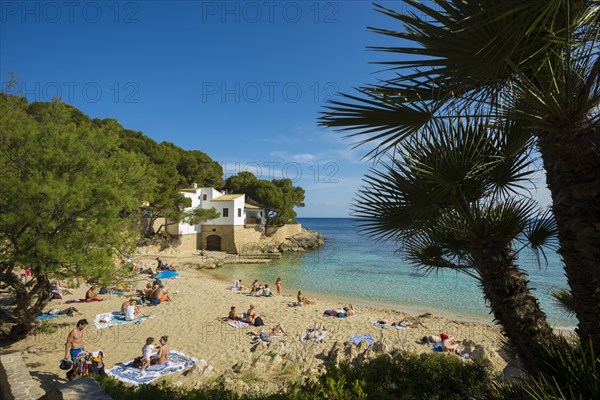 Cala Gat, Cala Rajada, Majorca, Majorca, Balearic Islands, Spain, Europe