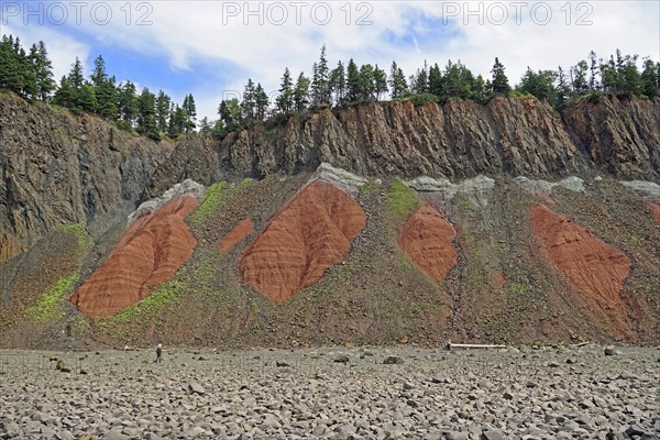 Cliffs, red sandstone, Five Islands Provincial Park, Fundy Bay, Nova Scotia, Canada, North America