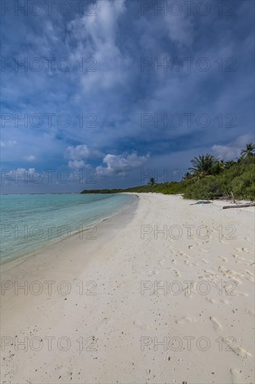 White sand beach, Parli 1 island, Lakshadweep archipelago, Union territory of India