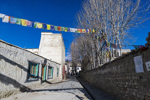 Tibetan houses in Lo Manthang, capital of the Kingdom of Mustang, Nepal, Asia