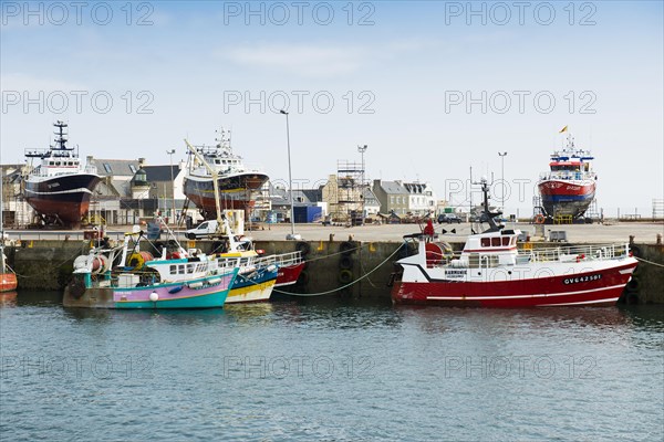 Colourful fishing boats in the harbour, Guilvinec, Finistere, Brittany, France, Europe