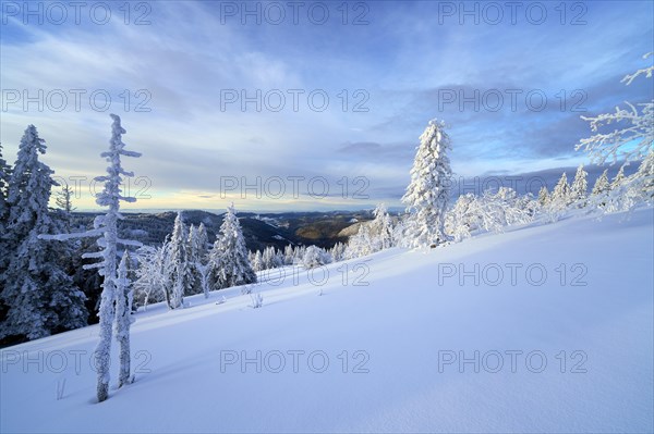 Winter on the Feldberg, Breisgau-Hochschwarzwald district, Baden-Wuerttemberg, Germany, Europe