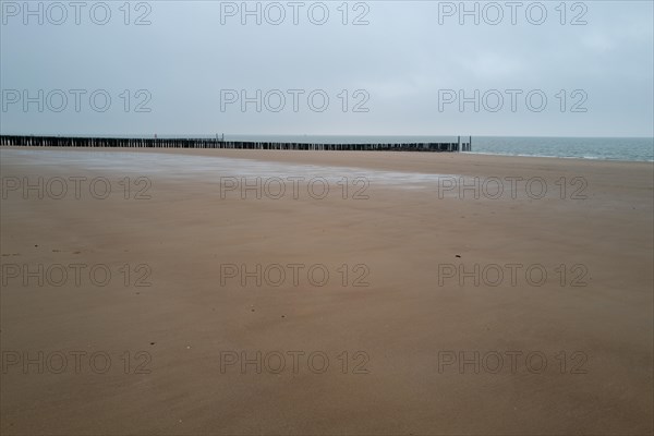 Deserted stretch of beach with breakwaters on an overcast day, Westkapelle, Zeeland, Netherlands