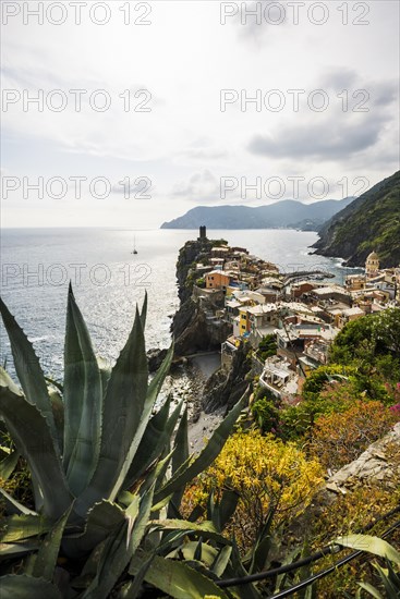 Village with colourful houses by the sea, Vernazza, UNESCO World Heritage Site, Cinque Terre, Riviera di Levante, Province of La Spezia, Liguria, Italy, Europe