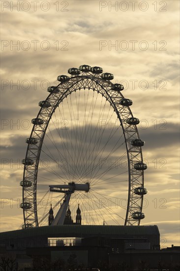 London Eye or Millennium Wheel tourist observation wheel at sunset, City of London, England, United Kingdom, Europe