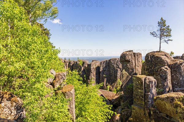 Landscape view with a single pine tree on a cliff and lush greenery in the ravine on a mountain that is part in the Unesco Global Geopark a sunny summer day, Billingen, Skoevde, Sweden, Europe