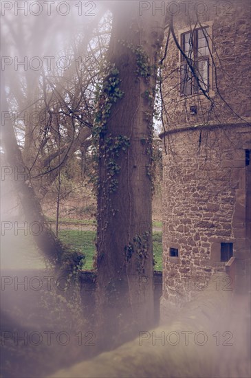 Gatehouse, moated castle, historical, formerly Bruenninghausen Castle, Rombergpark Dortmund, City of Dortmund, view from the bridge to the tree over to the tower, partly blurred, Dortmund, Germany, Europe