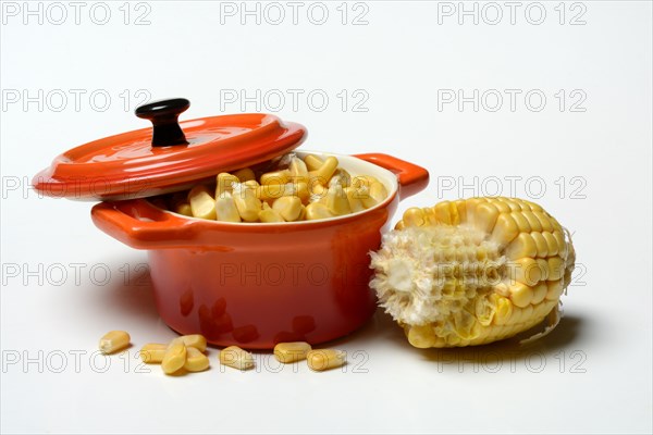 Fresh maize kernels in pots and cobs, corn (Zea mays)