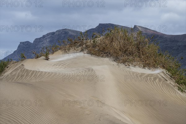 Dune landscape, dunes, Playa de Famara, Lanzarote, Canary Islands, Spain, Europe