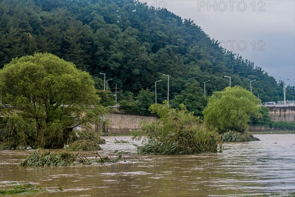 Trees submerged by floodwaters near riverbanks in a natural landscape, in South Korea