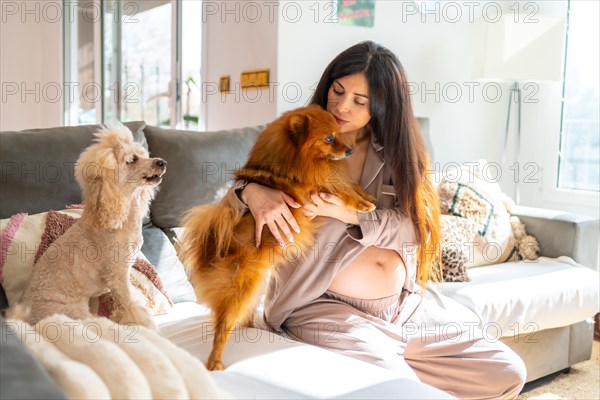 Pregnant woman kissing and caressing her small dogs sitting on the sofa at home