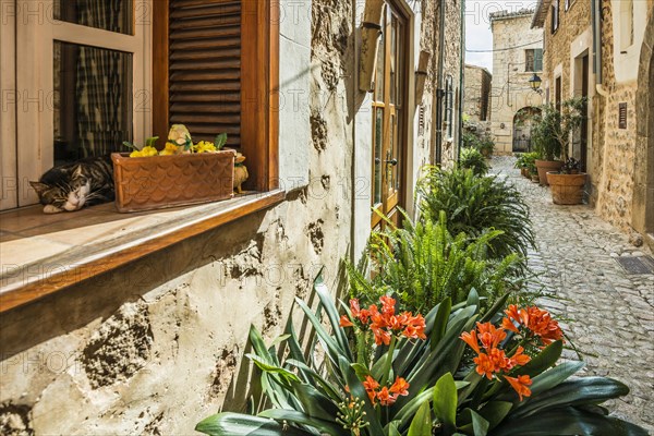 Fornalutx, Soller, Serra de Tramuntana, Majorca, Majorca, Balearic Islands, Spain, Europe