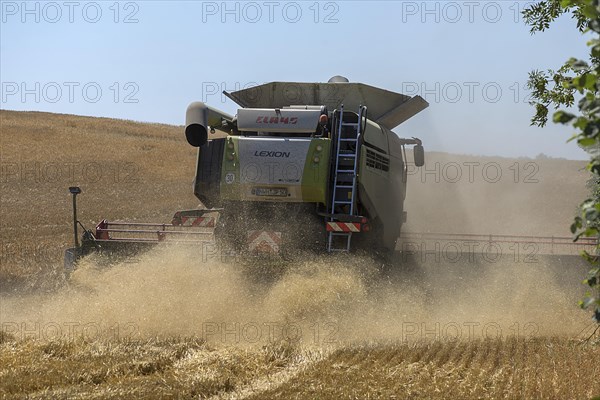 Combine harvester on a barleys (Hordeum vulgare), Mecklenburg-Vorpommern, Germany, Europe