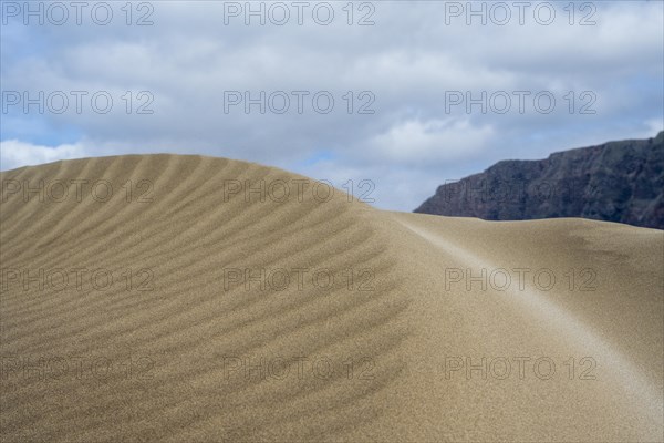 Dune landscape, dunes, Playa de Famara, Lanzarote, Canary Islands, Spain, Europe