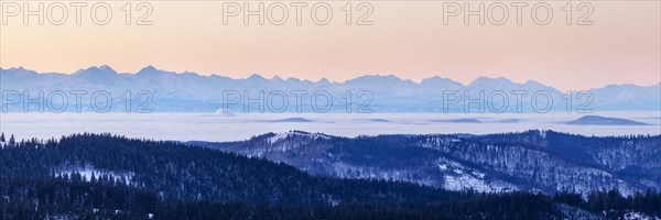 View from the Feldberg over the Herzogenhorn to the Swiss Alps, in front of sunrise, Breisgau-Hochschwarzwald district, Baden-Wuerttemberg, Germany, Europe
