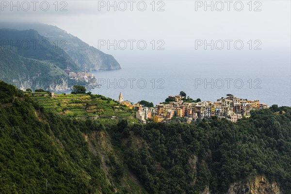 Village with colourful houses by the sea, Corniglia, UNESCO World Heritage Site, Cinque Terre, Riviera di Levante, Province of La Spezia, Liguria, Italy, Europe