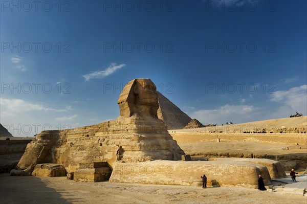 Sphinx of Giza, desert, wonder of the world, building, sculpture, monument, architecture, structure, ancient, history, history of the earth, history of mankind, monument, world history, epoch, kingdom, pharaoh, limestone, monument, human head, lion body, attraction, famous, landmark, Cairo, Egypt, Africa