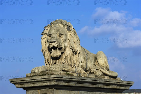 Lion of the Chain Bridge, travel, city trip, tourism, Eastern Europe, architecture, building, monument, history, historical, attraction, sightseeing, sculpture, capital, Budapest, Hungary, Europe