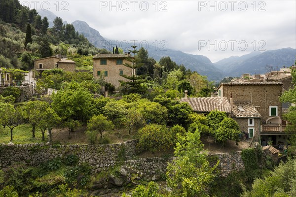 Village in the mountains with citrus plantations, Fornalutx, Soller, Serra de Tramuntana, Majorca, Majorca, Balearic Islands, Spain, Europe