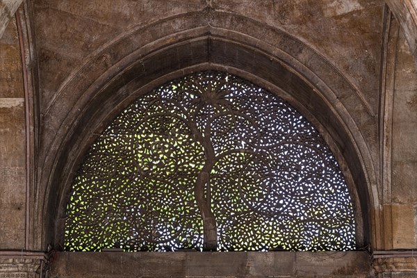 Beautiful ornamented window in the Sidi Saiyyed Mosque, Unesco site, Ahmedabad, Gujarat, India, Asia