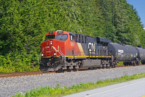 Locomotive and some wagons of the CN Railway, Yellowhead Highway, British Columbia, Canada, North America