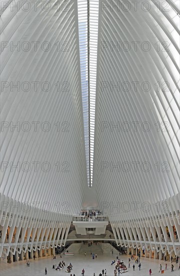 Westfield World Trade Center Mall, Oculus Building, Transportation Hub, Ground Zero, Lower Manhattan, New York City, New York, USA, North America
