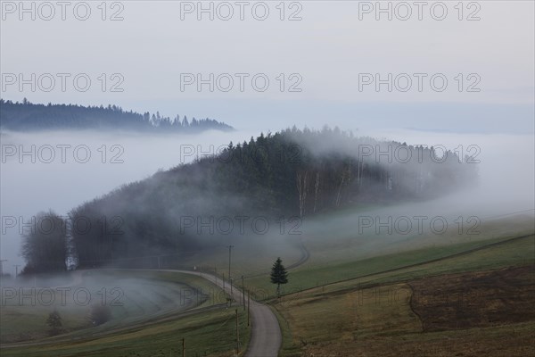 Landscape in the Black Forest with hills, road and forest in the morning with fog near Hofstetten, Ortenaukreis, Baden-Wuerttemberg, Germany, Europe