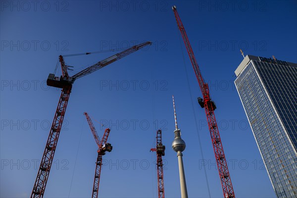 Symbolic photo on the topic 'Aeo Building in Berlin 'Aeo. Construction cranes stand on a building site on Alexanderplatz in front of the television tower. Berlin, 05.03.2024