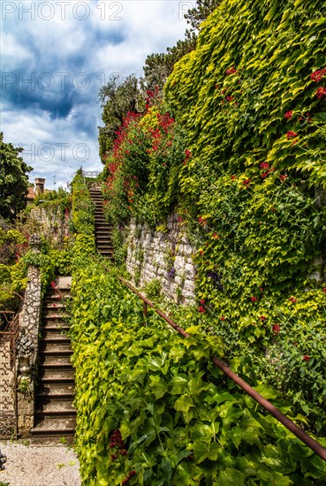 Castle garden, Duino Castle, with spectacular sea view, private residence of the Princes of Thurn und Taxis, Duino, Friuli, Italy, Duino, Friuli, Italy, Europe