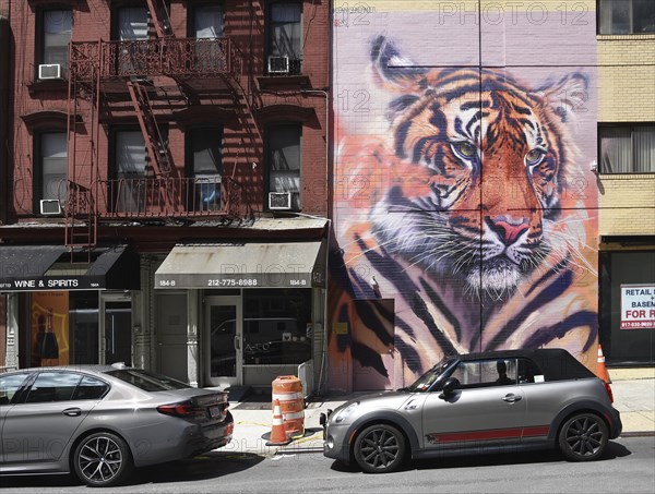 Hand-painted mural with tiger head, in front of a mini convertible, SoHo neighbourhood, Manhattan, New York City, New York, USA, North America