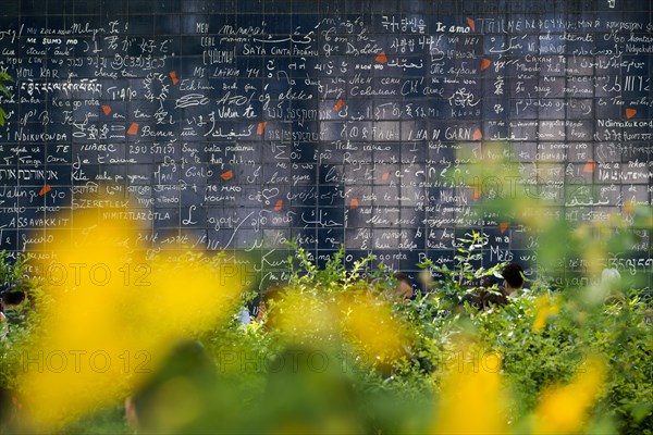 Wall of Love, Mur des Je t'Aime, Montmartre, Paris, Ile-de-France region, France, Europe