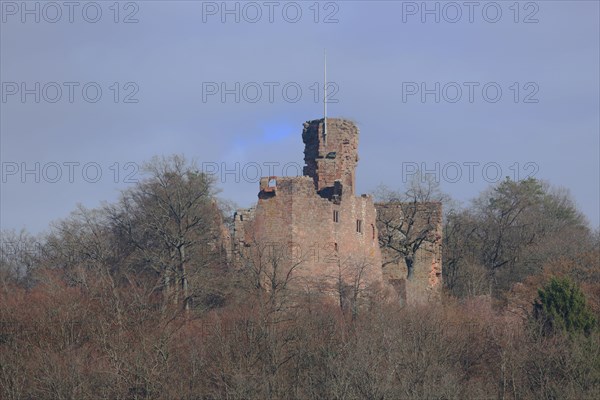 Hohenecken Castle, forest, mountain, Hohenecken, Kaiserslautern, Rhineland-Palatinate, Germany, Europe