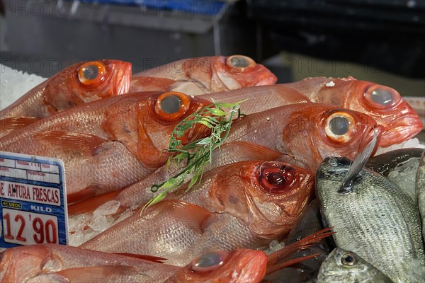 Fish market, fish hall, Playa Blanca, Lanzarote, Canary Island, Spain, Europe