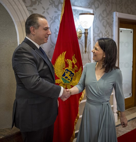 Annalena Baerbock (Alliance 90/The Greens), Federal Foreign Minister, photographed during her visit to Montenegro. Here she meets Foreign Minister Filip Ivanovic in Villa Gorica. 'Photographed on behalf of the Federal Foreign Office'