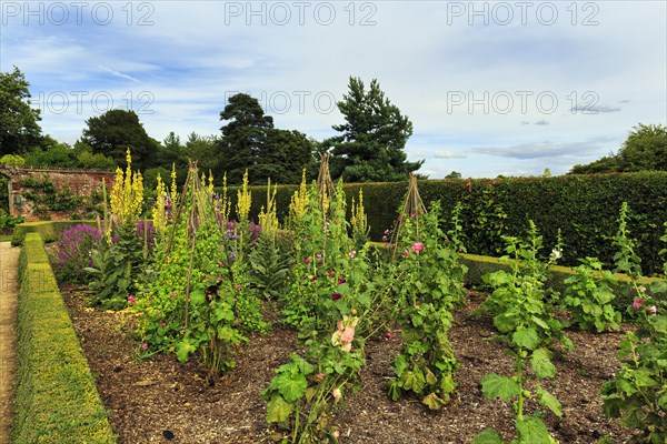 Down House Garden, garden at the home of the British naturalist Charles Darwin, Downe, Kent, England, Great Britain