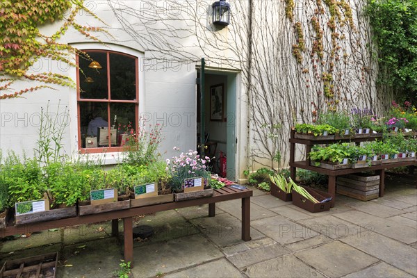 Down House, former home of the British naturalist Charles Darwin, museum, Downe, Kent, England, Great Britain