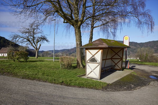 Bus bend, bus stop with bus shelter and wintry trees in Waldkirch, Emmendingen district, Baden-Wuerttemberg, Germany, Europe