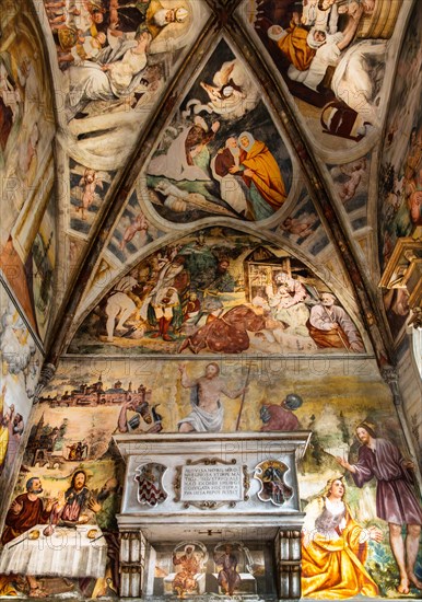 Ceiling frescoes, Duomo di San Marco, old town centre with magnificent aristocratic palaces and Venetian-style arcades, Pordenone, Friuli, Italy, Pordenone, Friuli, Italy, Europe