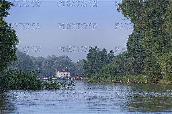 A slightly hazy morning by the water in the UNESCO Danube Delta Biosphere Reserve. Munghiol, Tulcea, Romania, Europe