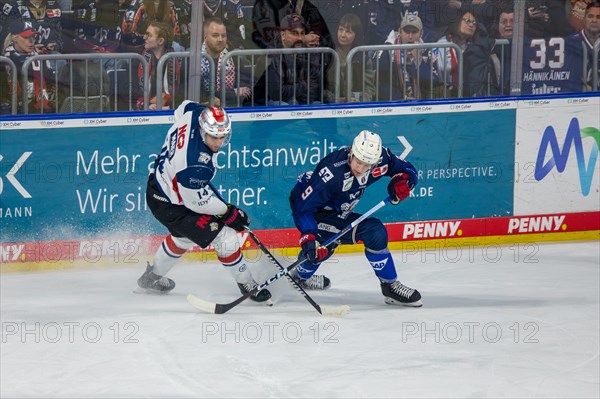 10.03.2024, DEL, German Ice Hockey League season 2023/24, 1st playoff round (pre-playoffs) : Adler Mannheim against Nuremberg Ice Tigers (2:1) . Players in the picture: Leon Gawanke (9, Adler Mannheim) and Cole Maier (14, Nuernberg Ice Tigers)