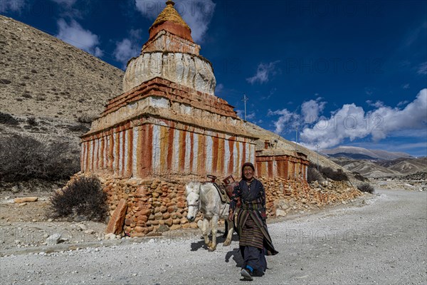 Woman with her horse, colourfully painted Buddhist stupa in front of mountain landscape, erosion landscape and houses of Garphu behind, Garphu, Kingdom of Mustang, Nepal, Asia