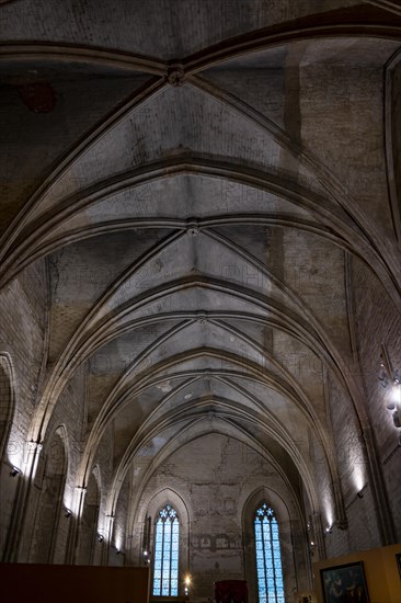 Inside the Cathedral in Palace of the Popes in Avignon, France, Europe