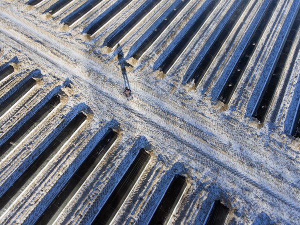 An aerial photo shows snow-covered sheets stretched over asparagus fields, 06/01/2017