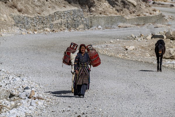 Tibetan women walking with her horse, Garphu, Kingdom of Mustang, Nepal, Asia