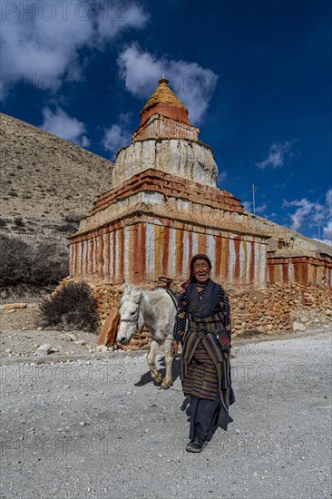 Woman with her horse, colourfully painted Buddhist stupa in front of mountain landscape, erosion landscape and houses of Garphu behind, Garphu, Kingdom of Mustang, Nepal, Asia
