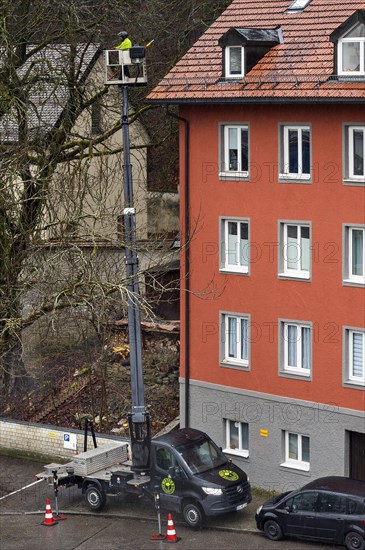 Tree care with working platform, Kempten, Allgaeu, Bavaria, Germany, Europe